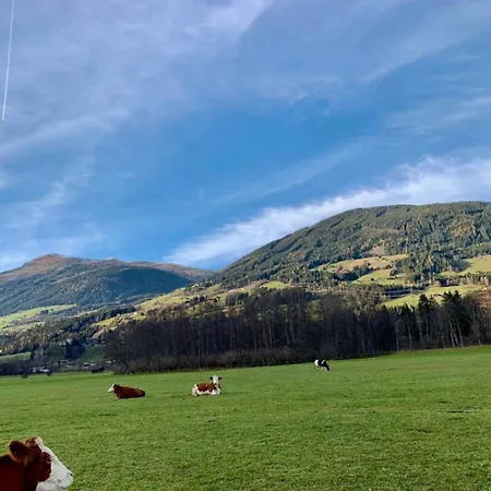 In Neukirchen Near Arena Wildkogel, Cleaning Included Daire